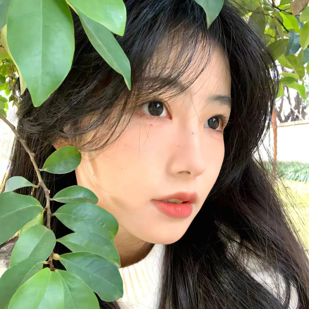 爱在独木桥