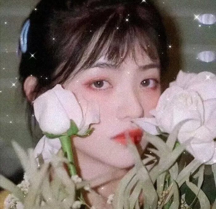 神烦警探第七季